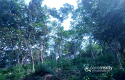 Excellent 5 acre resort purpose land in Kattimoola @ 1.50 Cr.