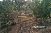 40 cent land in Mananthavady @ 14 lakh.