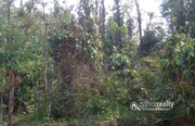 Excellent 5.30 acre resort purpose land in Korome @ 1.50 Cr 