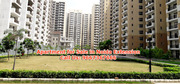Apartments for sale in Noida Extension 9667367666