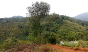Excellent 56 cent land in Korome @ 15lakh. Wayanad