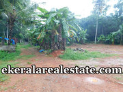 24 cents land plot  sale at Adoor Pathanamthitta