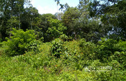 6 cent house plot in kuppadi @ 12lakh. Wayanad