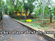 Below 3 lakhs per cnet  land plot sale at Balaramapuram Trivandrum