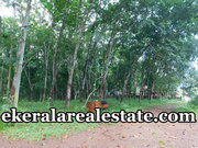 48 cents low budget land sale at Palode Nedumangad