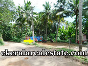 Chep rate land plot sale at Arayaloor Mangattukadavu 