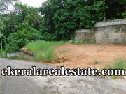 Powdikonam Residential plot 6 cents for sale