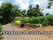 25 cents lorry access land sale at Panthalacode Vattappara