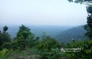 Excellent 2.50 acre resort purpose land in Mandad @ 87.50lakh