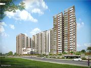 rps palm floors Faridabad- rps palm floors Faridabad review