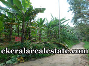 Low budget land sale at Chennanpara Vithura