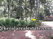Immediate plot sale in Poonkulam Vellayani
