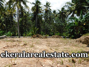 Residential plot 5 cents sale in Pallipuram 