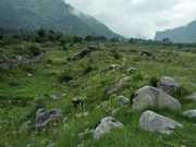 70 Biswa plot for sale