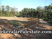 Residential plot sale in Venjaramoodu low price
