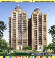 3 Bhk In Ambika Florence Park New Chandigarh 95O1O318OO