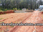 Machel Malayinkeezhu  cheap rate land plot for sale