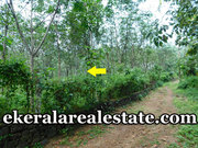 Nedumangad 2 lakhs per cent land plot for sale