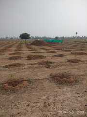 Vasavi Sandal County offering plantation plots for sale 