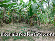 8 cents Land Sale at Mavarathala Enikkara