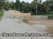 House Plot Sale near Kumaranasan Smarakam Mangalapuram