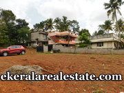 Land for Sale at Pallimukku Peyad