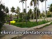 Thirumala 8 lakhs per cent land plot for sale