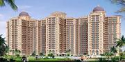 new chandigarh ambika florence park