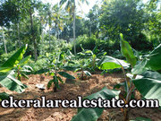 90 cents land sale at Kalliyoor Near Panchayat Office