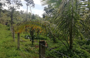 Plot  for sale in Wayanad