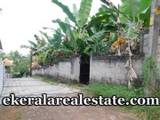 plot for sale at Avukkulam Near Karyavattom 