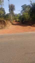 64500 Sq. Mtrs. ORCHARD LAND FOR SALE