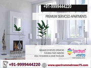  Spectrum Metro Sector 75,  Spectrum Metro Studio Apartment