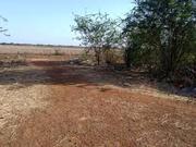 Plot for sale in Patia