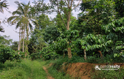 13 acre farm purpose property available near Anjukunnu - Wayanad