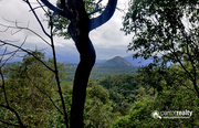 1 acre Resort purpose Property for sale near Edakkal Caves @ 20 lakhs…