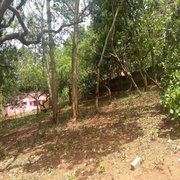 Land for sale in Varkala 