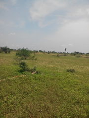 Agri Land For Sale Near Trichy