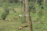 2 acre land for sale near Valad @ 13 lakh/acre