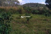 50 cent plot for sale in Andoor near Ambalavayal…