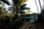 2.15 acre Agriculture land  for sale  near Padichira @ 60 lakh…..