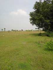 Vinayaga garden nearby kinathukadavu