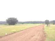 Land For Sale In Kinathukedavu Kondampatti low Budget plots 