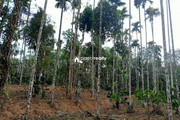 45 cent plot for sale in Vilambukandam @ 65000/cent