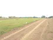 Land For Sale In Kondampatti Coimbatore 