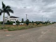 Plot For Sale in Sajapur Road