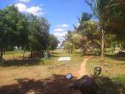 Dindigul Thottanampatti 6Acres land for sales