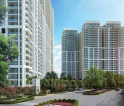 Luxury Apartments in DLF The Crest Gurgaon 