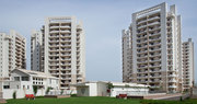 Mesmerising 3 Bhk Flat For Sale in Gurgaon