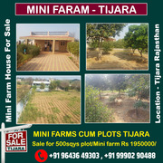 Tijara Plots @3900rs per sq